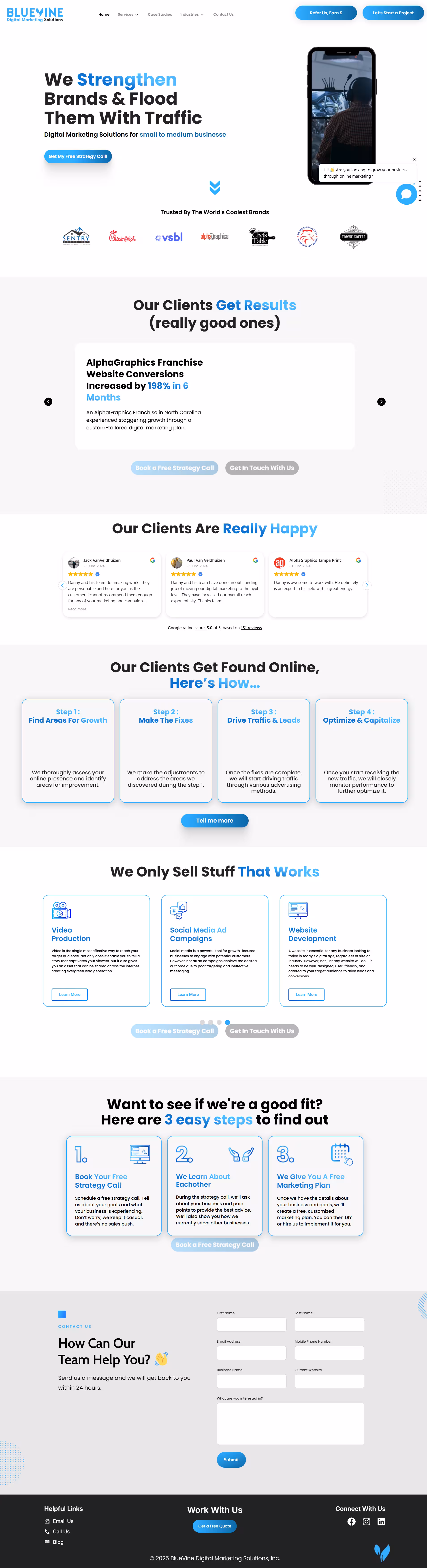 Blue Vine Marketing Platform - Digital Marketing Agency UI Design